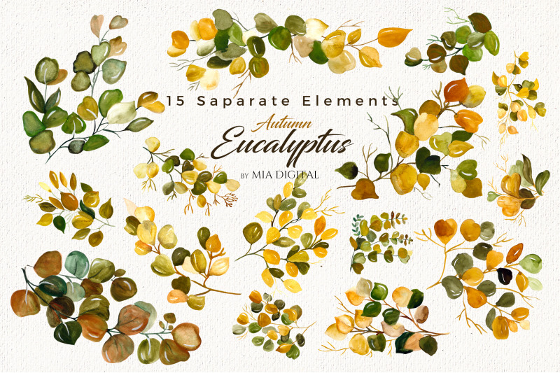 watercolor-eucalyptus-clipart-watercolor-eucalyptus-branches