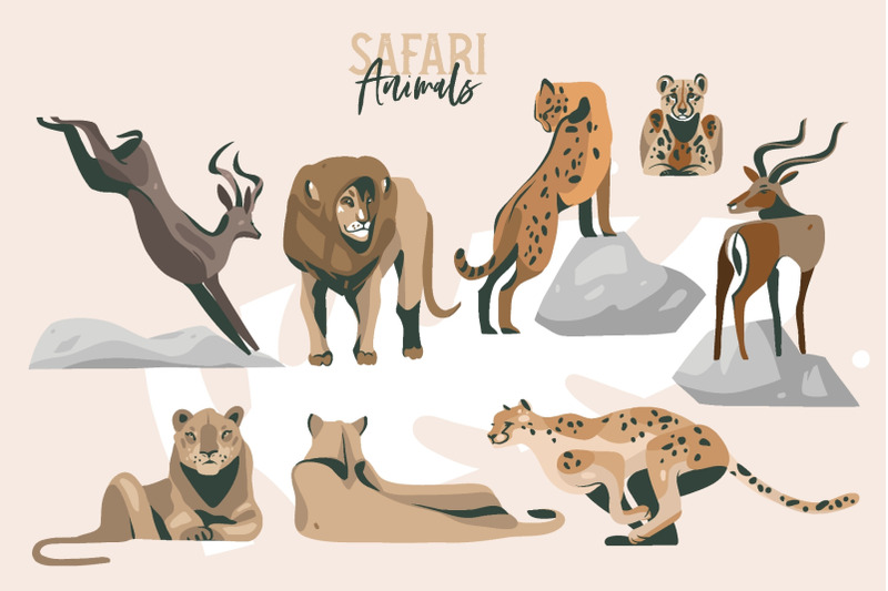 safari-collection