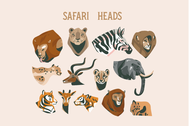 safari-collection