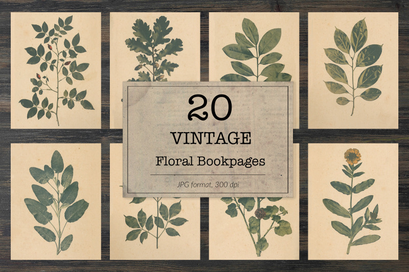 vintage-herbarium-floral-images