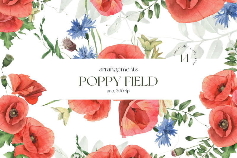 poppy-field-watercolor-arrangements
