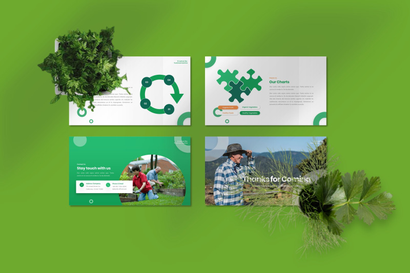 deville-organic-food-amp-vegetables-powerpoint-template