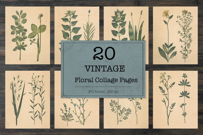 vintage-plants-floral-images