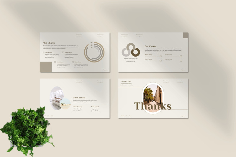 zucca-aesthetic-powerpoint-template