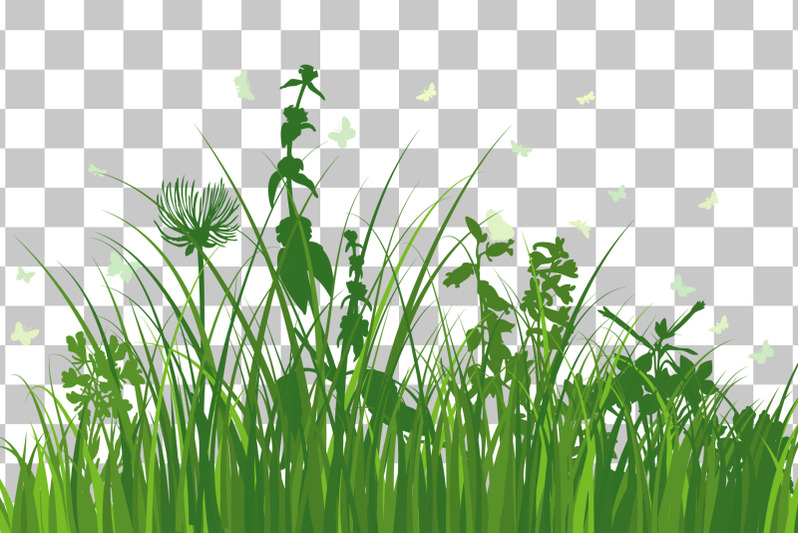 green-grass-meadow