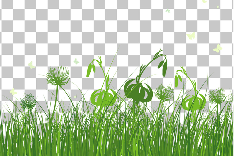 green-grass-meadow