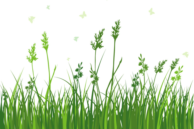 green-grass-meadow