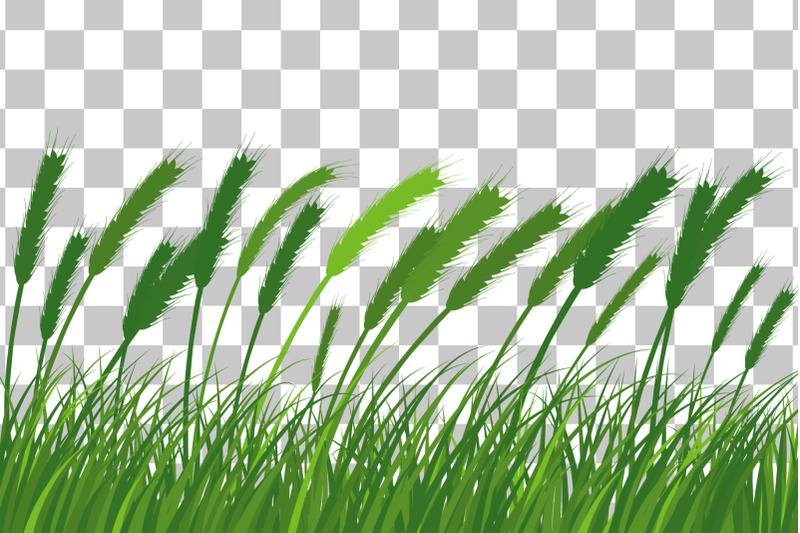 green-grass-meadow