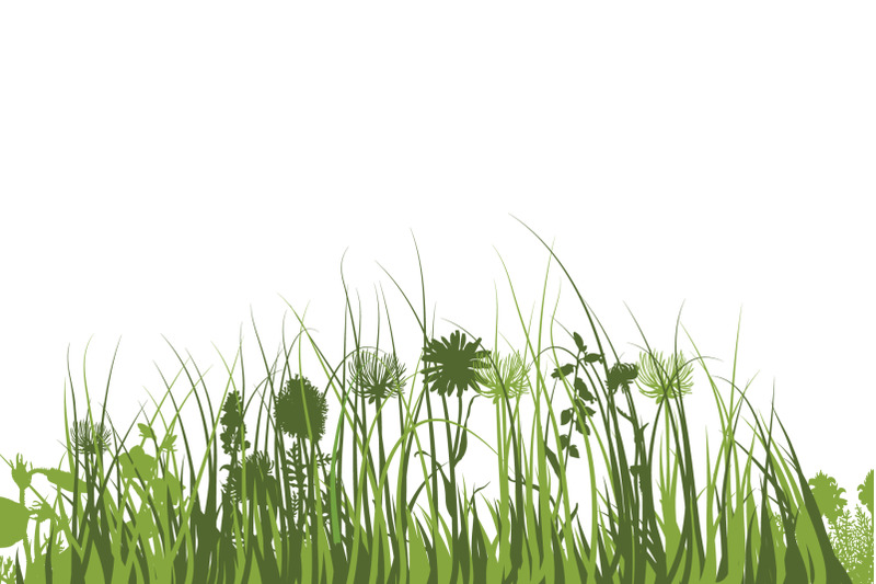 green-grass-meadow