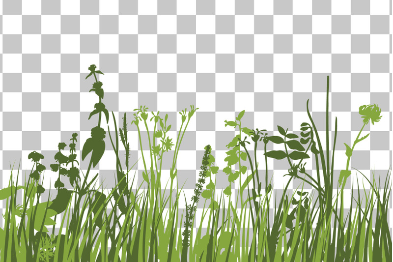 green-grass-meadow