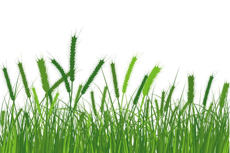 green-grass-meadow