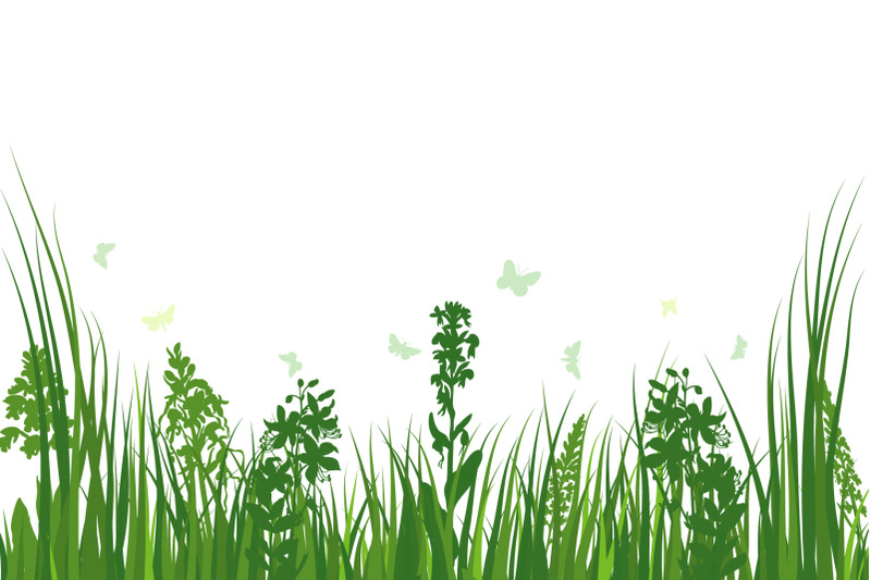 green-grass-meadow