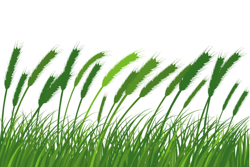 green-grass-meadow