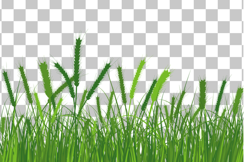 green-grass-meadow