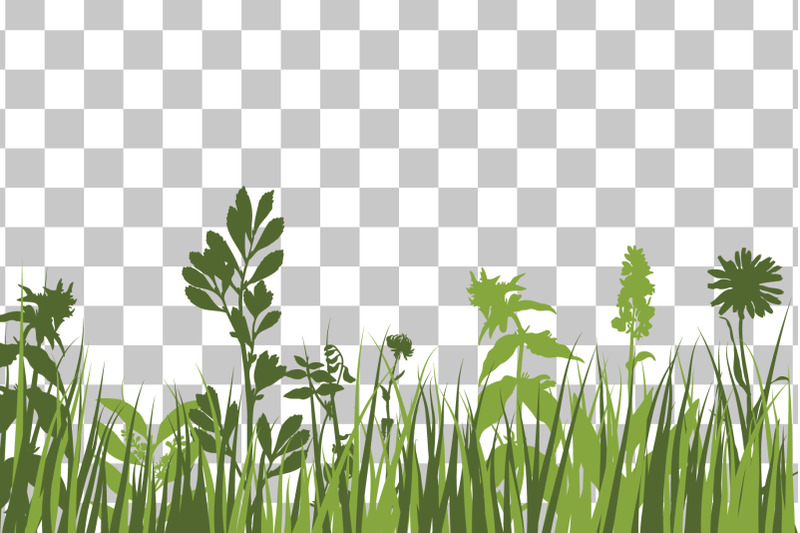 green-grass-meadow