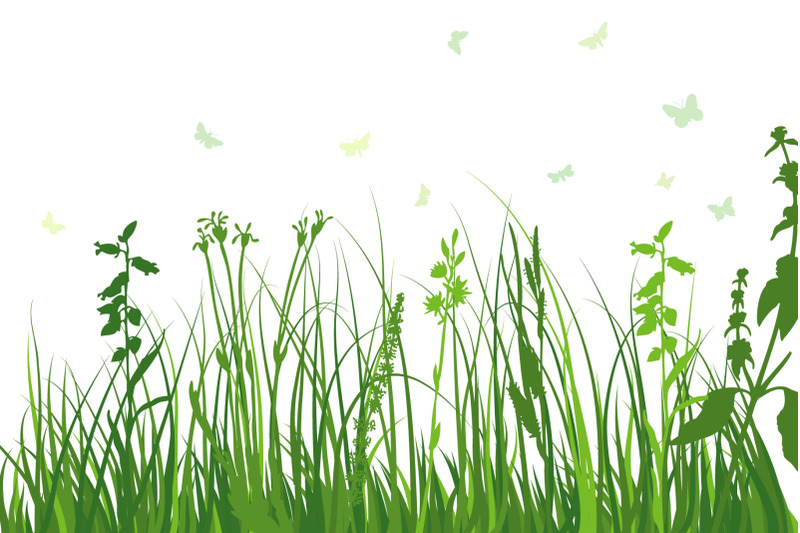 green-grass-meadow