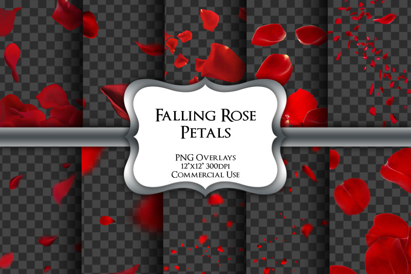 falling-rose-petals-overlays-transparent-png