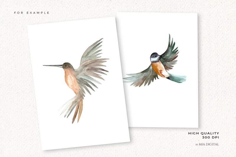 watercolor-birds-clipart-set-hand-drawn-hummingbird-dove-swallow