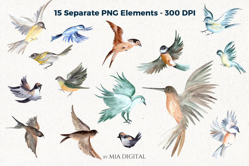 watercolor-birds-clipart-set-hand-drawn-hummingbird-dove-swallow