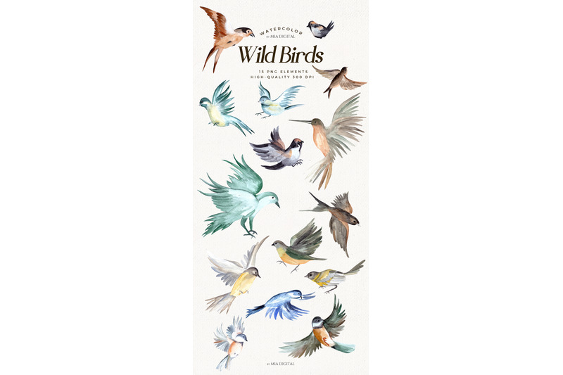 watercolor-birds-clipart-set-hand-drawn-hummingbird-dove-swallow