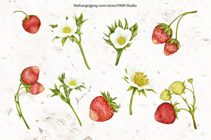 summer-strawberry-clipart-girl-garden-cottage-flower-leaves