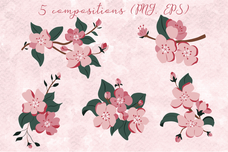 apple-blossom-flower-clipart-purple-cherry-blossom-flower-clipart