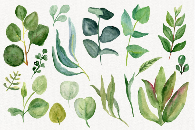 watercolor-floral-greenery-clipart-leaf-clip-art