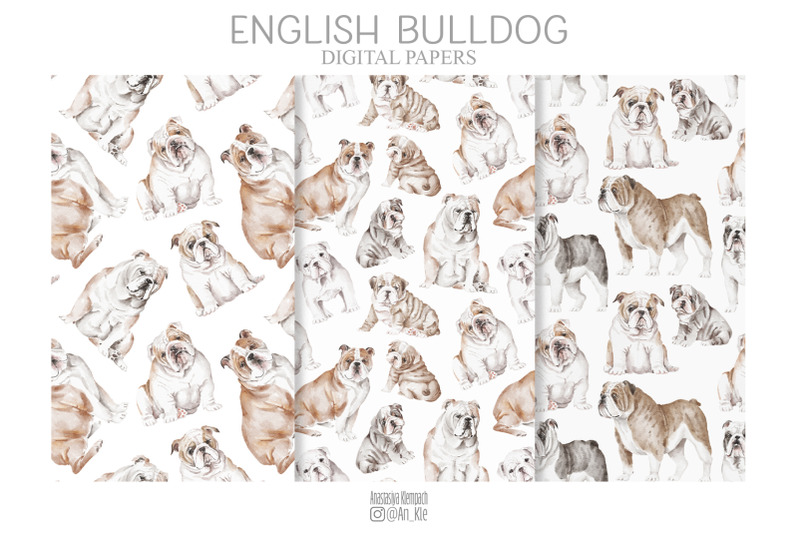 english-bulldog-dogs-and-puppies