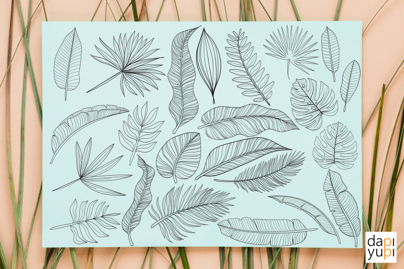 tropical-leaves-line-art-graphic-element