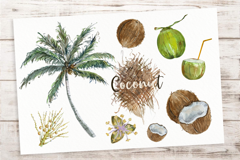 coconut-cycle-clip-arts-and-print