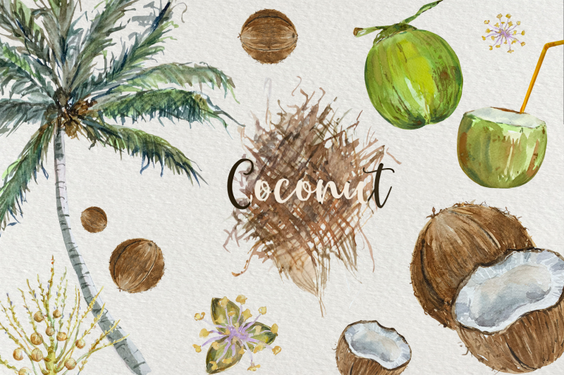 coconut-cycle-clip-arts-and-print