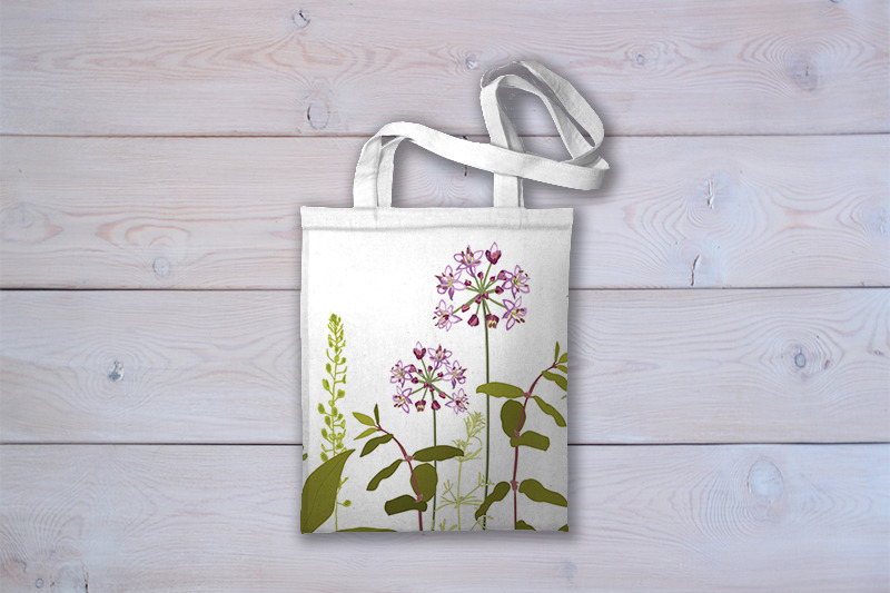 purple-allium-flowers-and-herbs