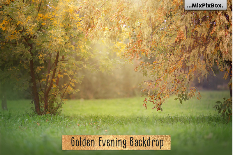 golden-evening-backdrop