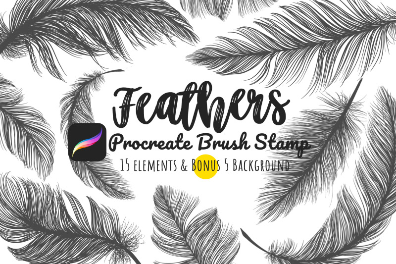 procreate-brush-stamp-set-feathers-diy