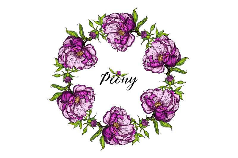 bright-peony-flowers-vector-illustration-floral-romantic-composition