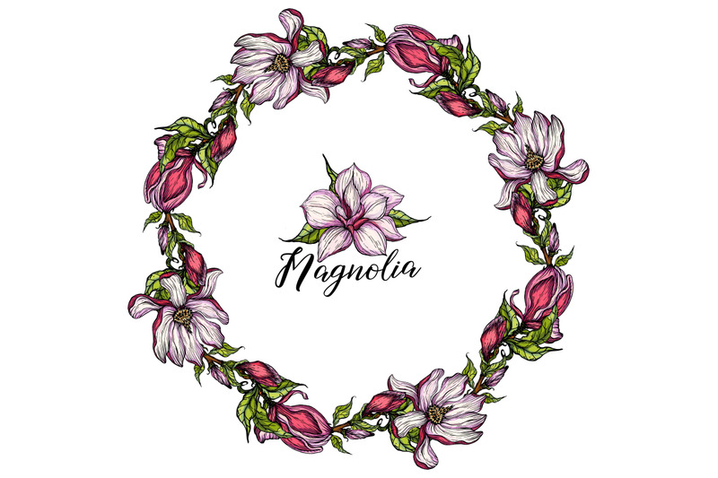 bright-flowers-of-pink-magnolia-vector-illustration-floral-romantic