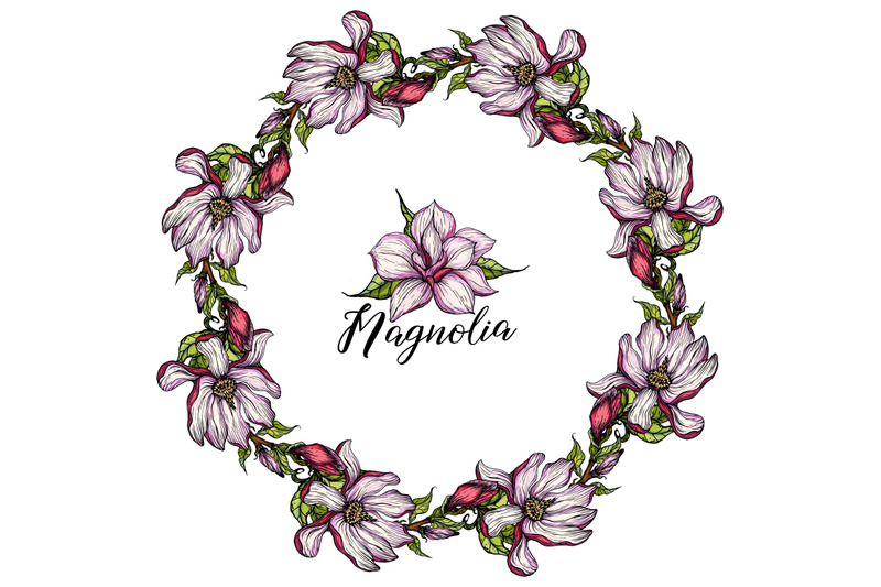 bright-flowers-of-pink-magnolia-vector-illustration-floral-romantic