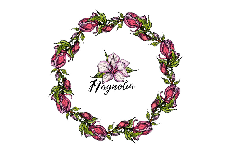 bright-flowers-of-pink-magnolia-vector-illustration-floral-romantic