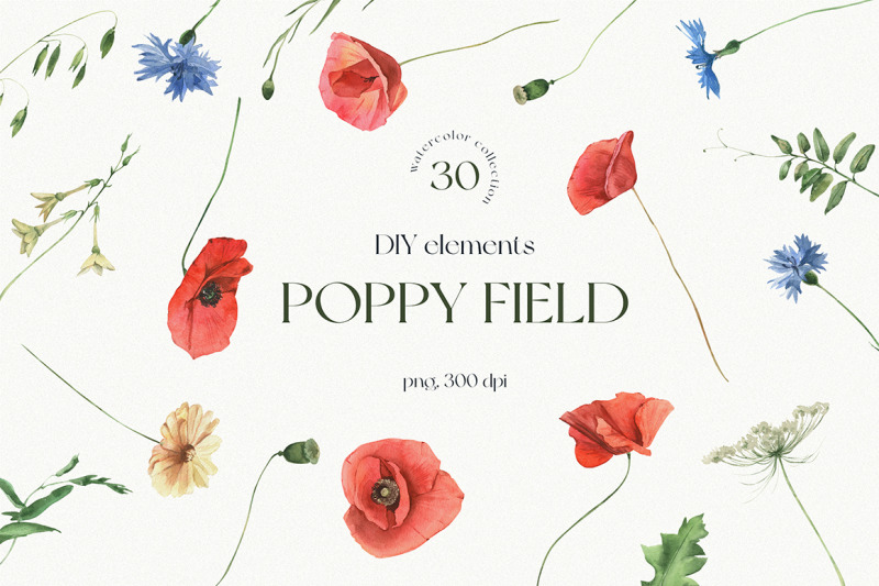 poppy-field-watercolor-elements