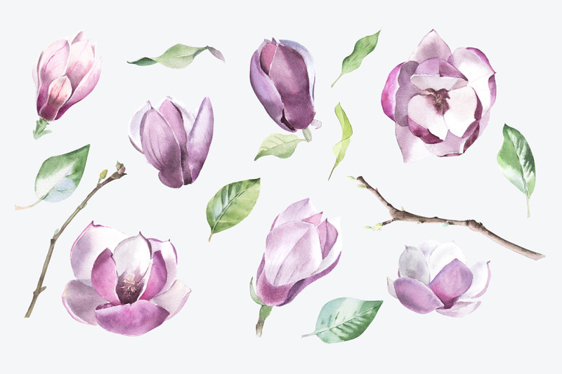 watercolor-magnolia-elements