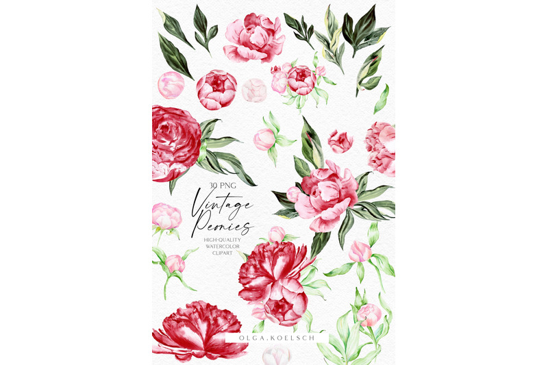 watercolor-boho-peonies-clipart-watercolor-burgundy-and-blush-flowers-png-floral-boho-wedding-clipart-mother-039-s-day-card-diy