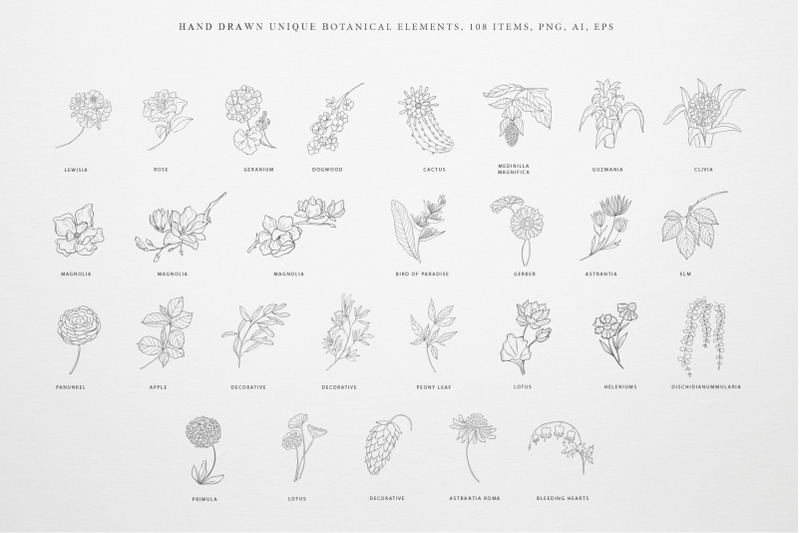 botany-amp-moon-hand-drawn-line-art