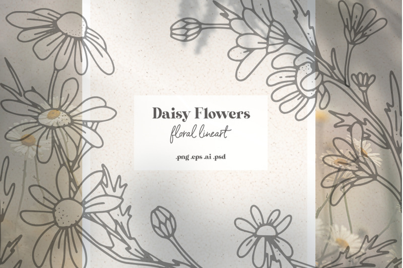 daisy-flowers-modern-floral-line-art-set