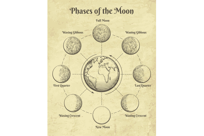 vintage-astrology-moon-phases