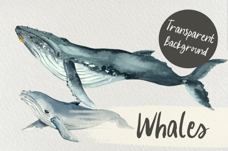 watercolor-mother-and-baby-whale-clip-arts