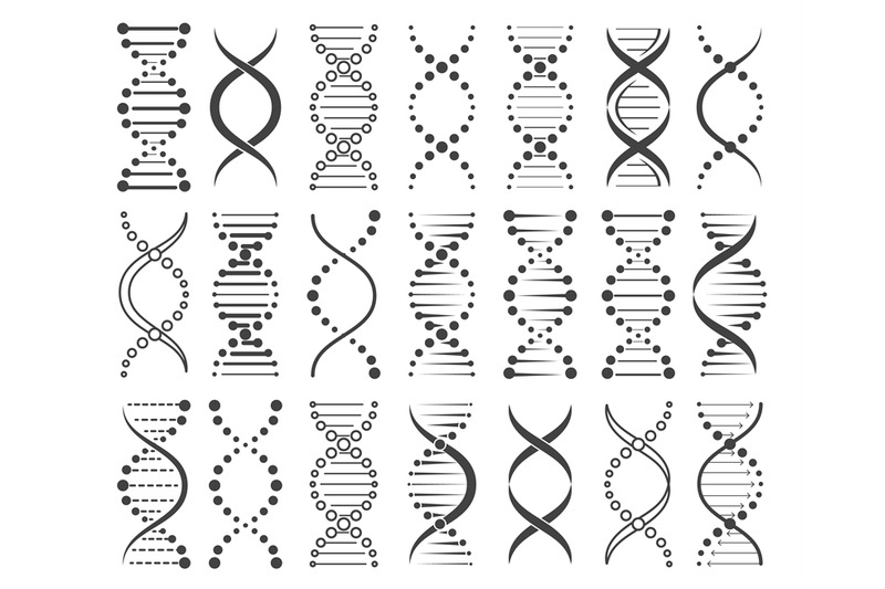 structure-of-chromosomes-sketch