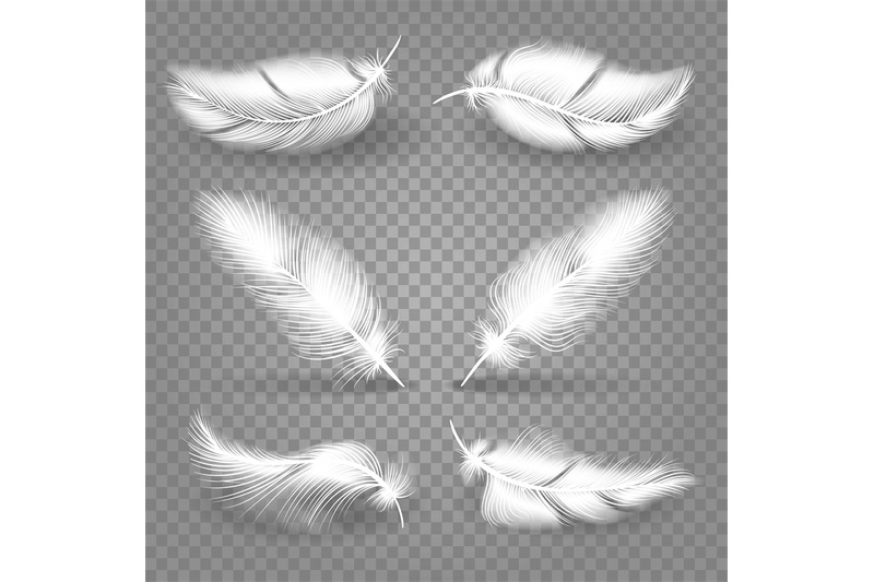 realistic-white-feathers