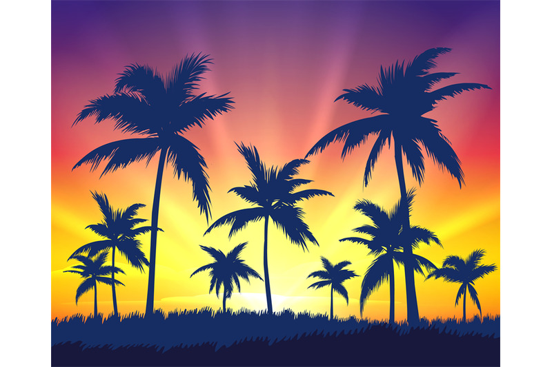 tropical-trees-silhouettes-on-sunset