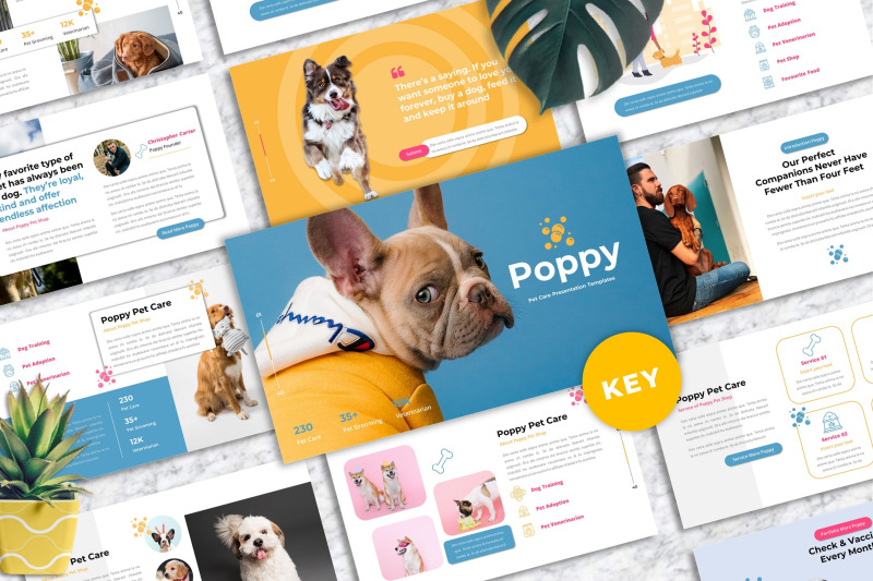 poppy-pet-care-keynote-templates