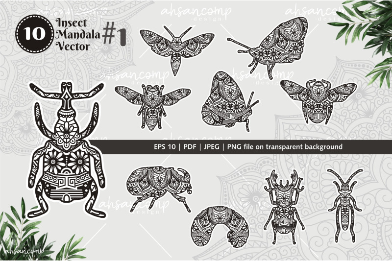 insect-mandala-vector-line-art-bundle